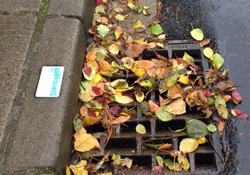 Featured image for “Adopt A Drain”