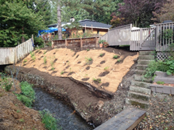 Featured image for “Streamside Property Care”