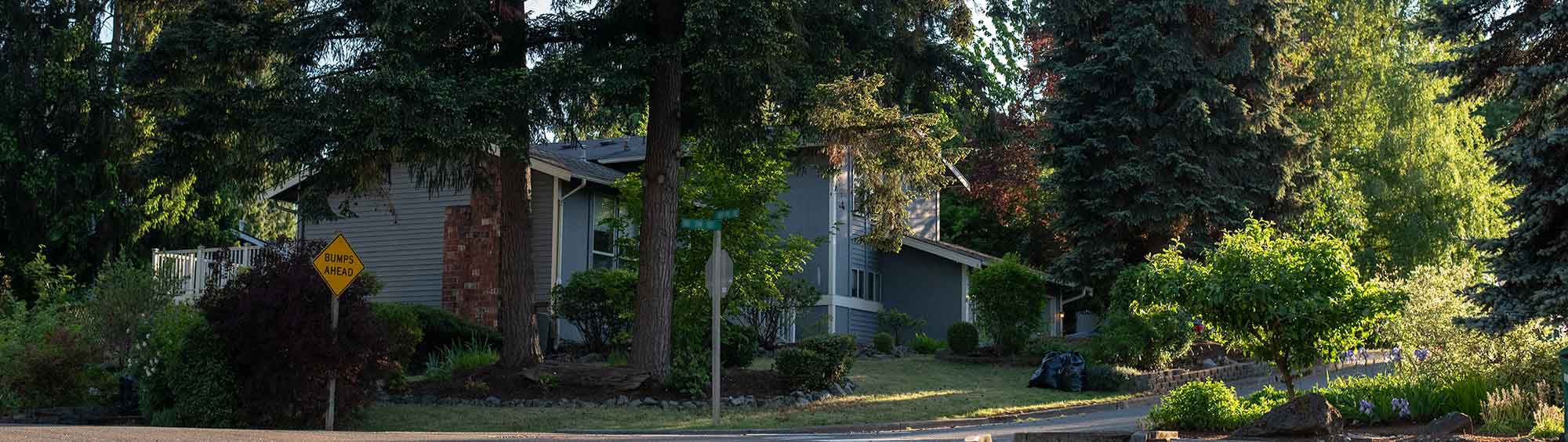 Sunlight hits the trees on a neighborhood intersection in Newcastle. A bluish gray house can be seen on the corner.