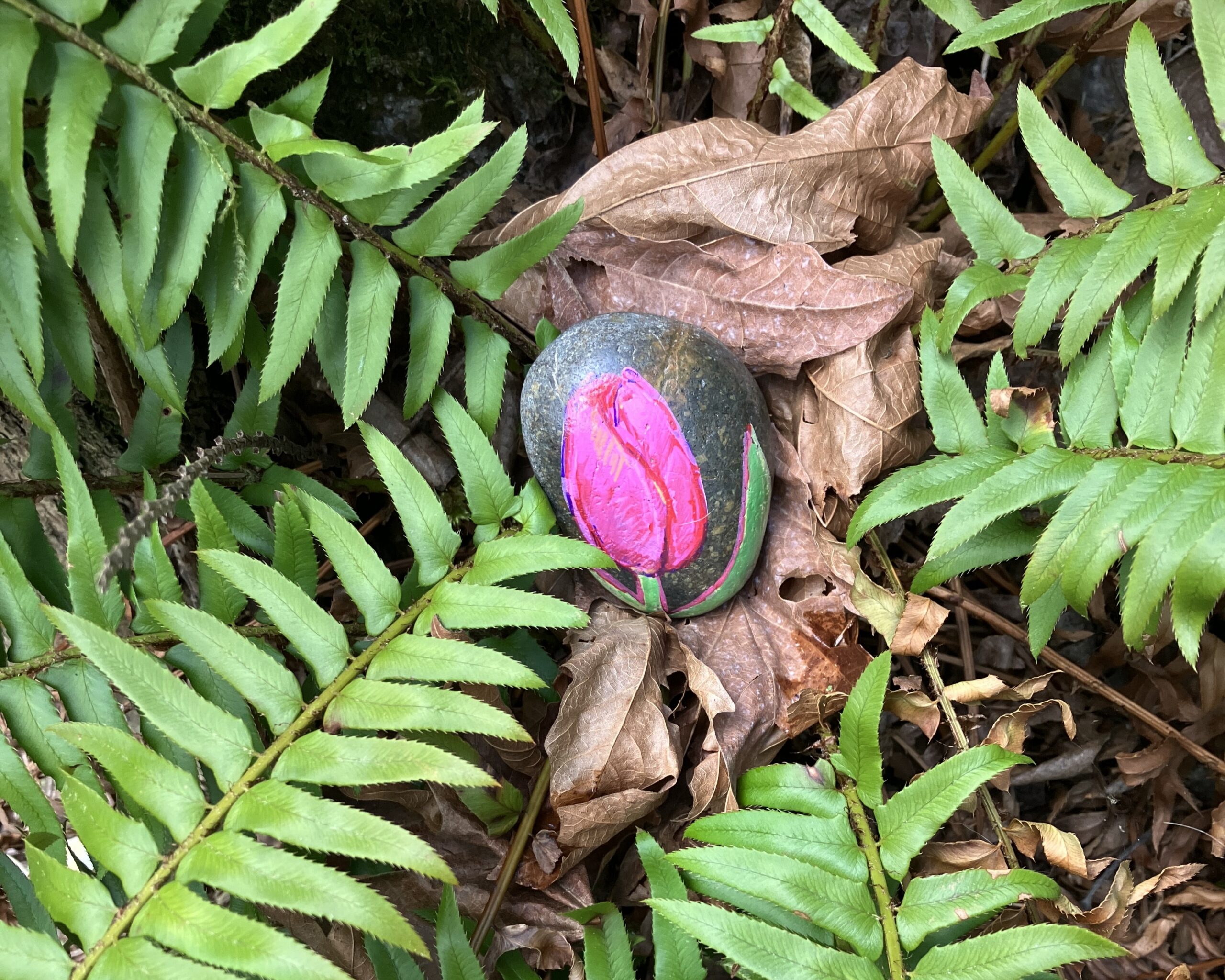 Featured image for “Celebrate Earth Month 2026”
