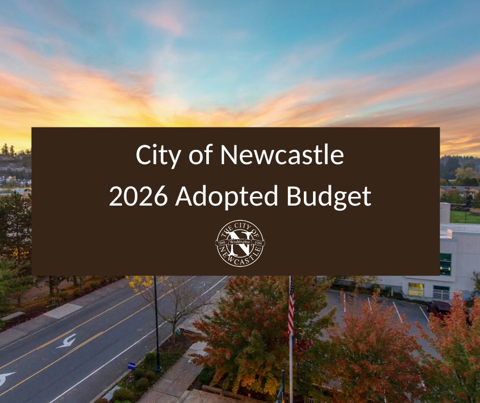 Featured image for “2026 Adopted Budget Now Online”