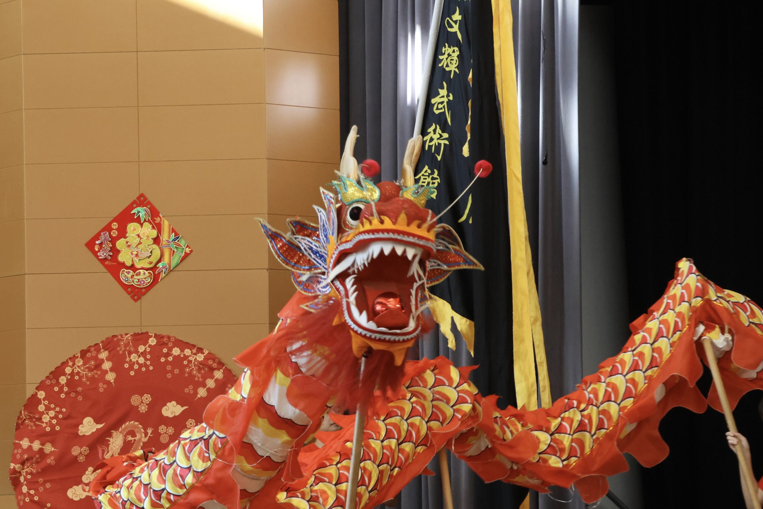 Featured image for “Lunar New Year Celebration | March 1”
