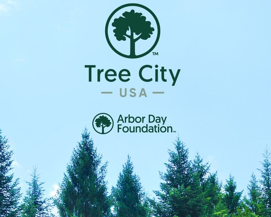Featured image for “Newcastle Marks 16 Years as Tree City USA”