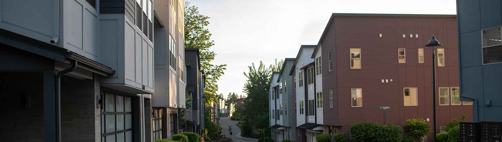 Housing in Newcastle Common.